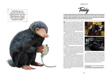 Harry Potter: Creatures of the Wizarding World inside page 5