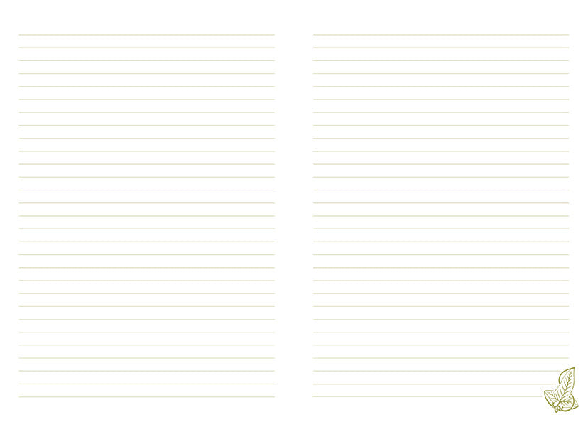 Lord of the Rings: One Ring Journal with Charm inside page 2