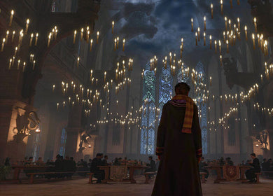 Harry Potter: Hogwarts Legacy Journal inside page 3
