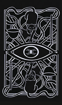 Christina Ricci's Cat Full of Spiders Tarot Deck and Guidebook inside page 2