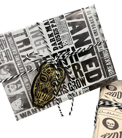 Harry Potter: Dark Arts Gift Wrap Stationery Set inside page 3