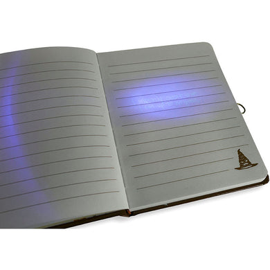Harry Potter: Hogwarts Lock & Key Diary [Invisible Ink Pen] inside page 2