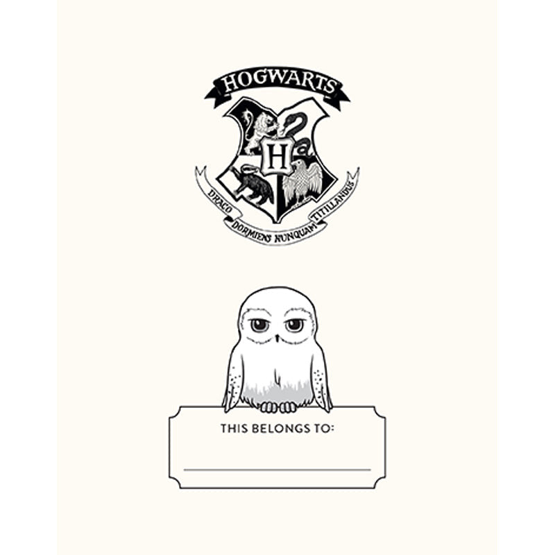 Harry Potter: Hedwig Squishy Lock & Key Diary inside page 2