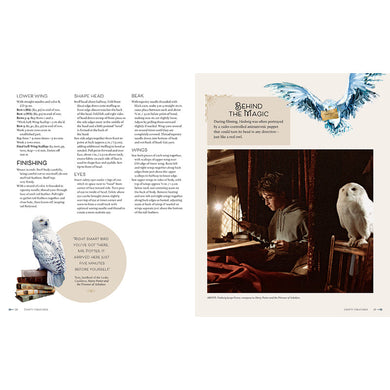 Harry Potter Knitting inside page 4