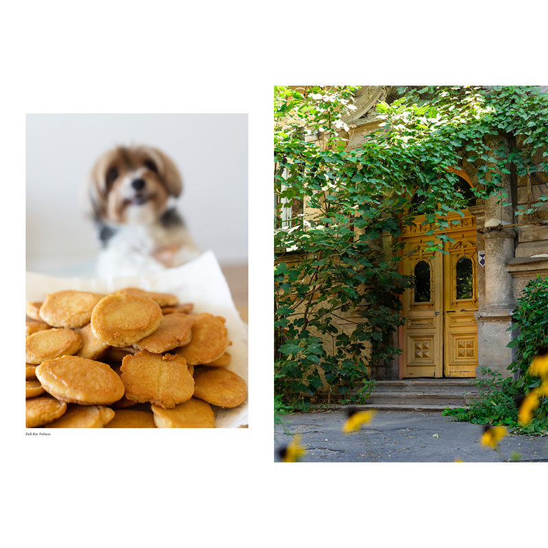 Cuisines of Odesa inside page 5
