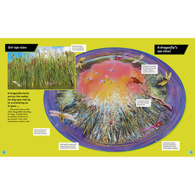 Eye View: Bugs inside page 6