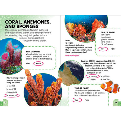 Undercover Answers: Animal Kingdom inside page 4