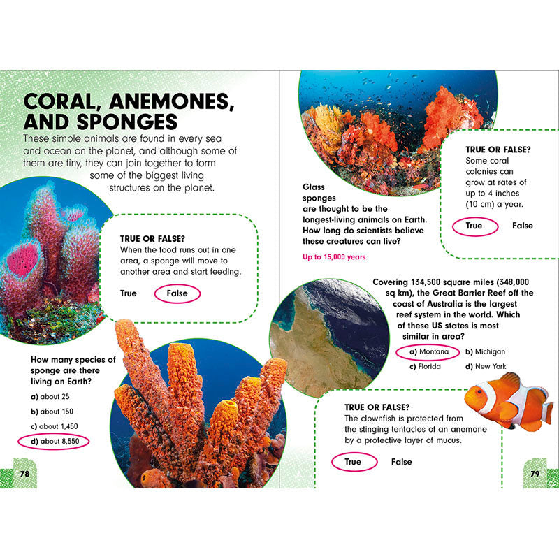 Undercover Answers: Animal Kingdom inside page 4