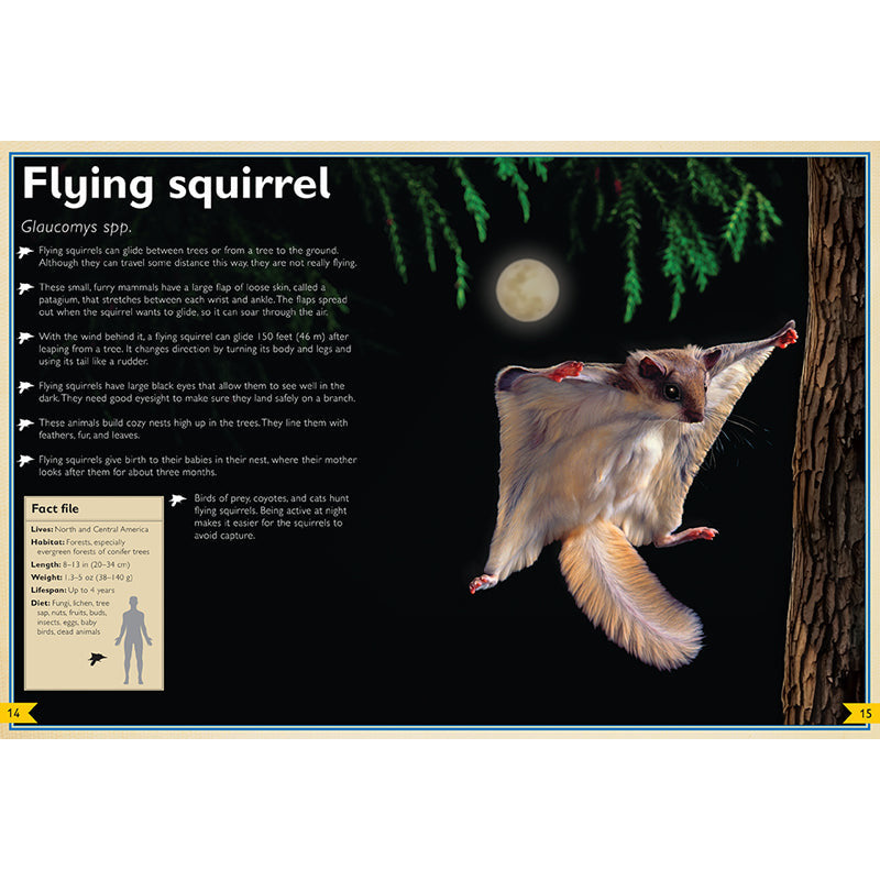 The Magnificent Book of Night Creatures inside page 1
