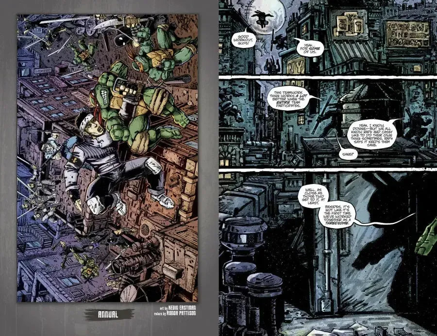 Teenage Mutant Ninja Turtles: The IDW Collection Volume 3 US - Paperback / softback