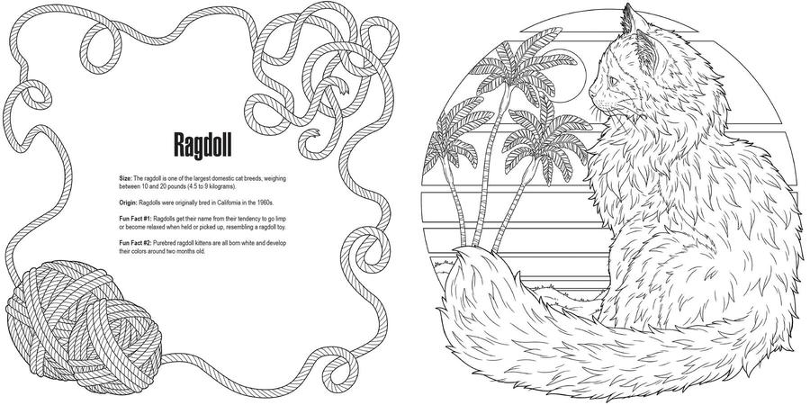 Cats: A Smithsonian Coloring Book US - Paperback / softback