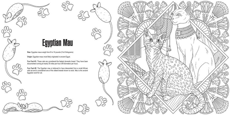 Cats: A Smithsonian Coloring Book US - Paperback / softback