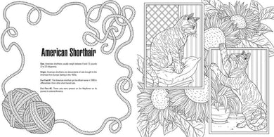 Cats: A Smithsonian Coloring Book US - Paperback / softback