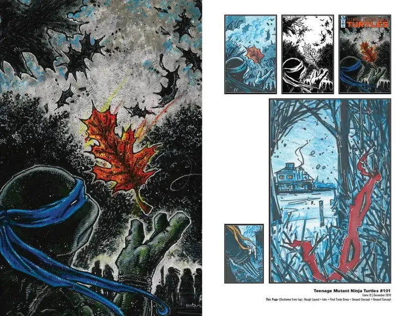 Teenage Mutant Ninja Turtles: The Kevin Eastman Covers (2019-2024) US - Hardback