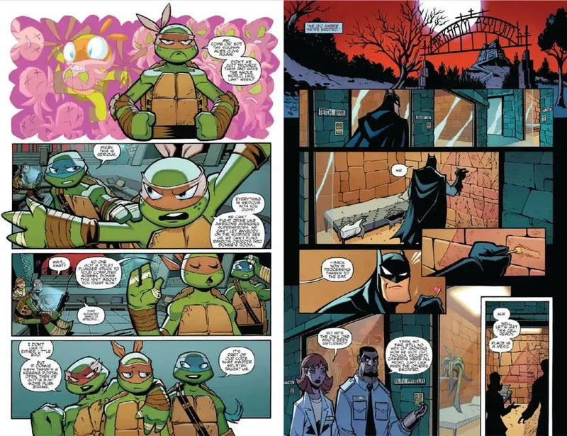 Batman/Teenage Mutant Ninja Turtles Adventures US - Paperback / softback