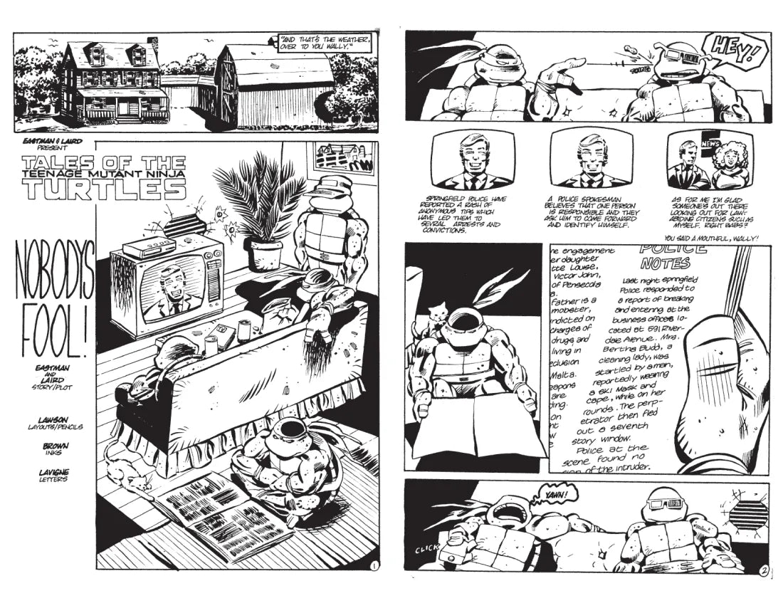 Best of Teenage Mutant Ninja Turtles Collection, Vol. 6 US - Paperback / softback