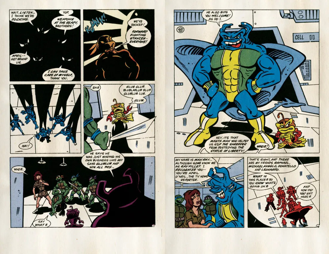 Best of Teenage Mutant Ninja Turtles Collection, Vol. 6 US - Paperback / softback
