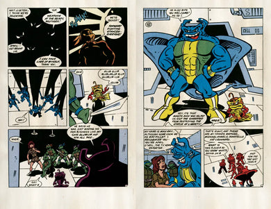 Best of Teenage Mutant Ninja Turtles Collection, Vol. 6 US - Paperback / softback