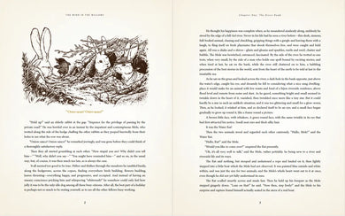 The Wind in the Willows: With Illustrations by David Petersen US - Paperback / softback