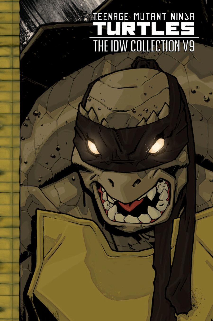 Teenage Mutant Ninja Turtles: The IDW Collection Volume 9-Graphic novel / Comic book / Manga: genres-買書書 BuyBookBook