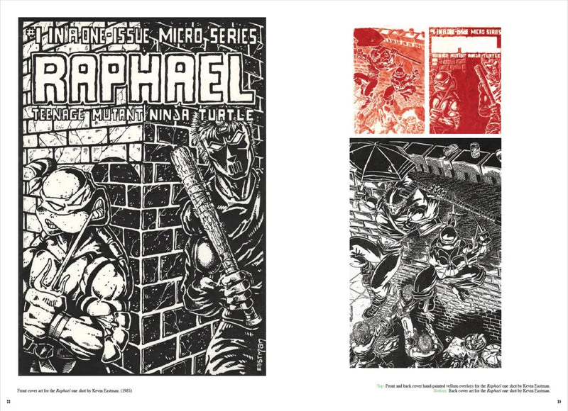 Teenage Mutant Ninja Turtles: The Ultimate Collection, Vol. 7 US - Paperback / softback