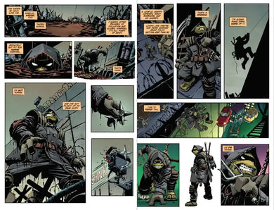 Teenage Mutant Ninja Turtles: The Last Ronin Box Set US - Multiple-component retail product, boxed