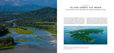 Bat Island inside page 1