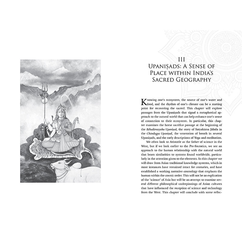 Embodied Ecology inside page 4