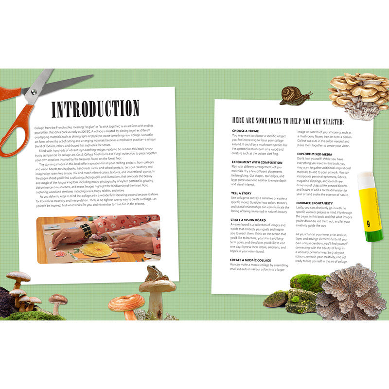 Cut and Collage Mushrooms and Fungi inside page 1