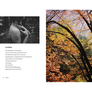 Quietly Wild inside page 3