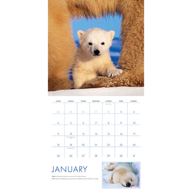 2026 Baby Animals Wall Calendar inside page 1