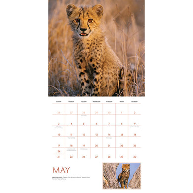 2026 Baby Animals Wall Calendar inside page 3