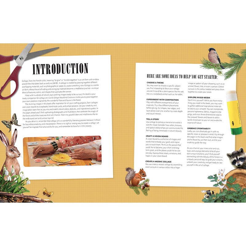 Cut and Collage Woodland Creatures inside page 1
