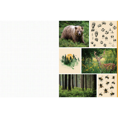 Cut and Collage Woodland Creatures inside page 6