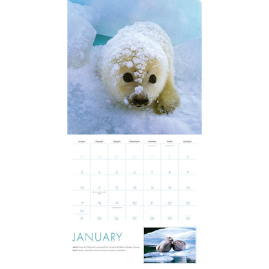 2027 Baby Animals Wall Calendar inside page 1