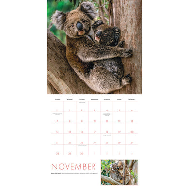 2027 Baby Animals Wall Calendar inside page 5
