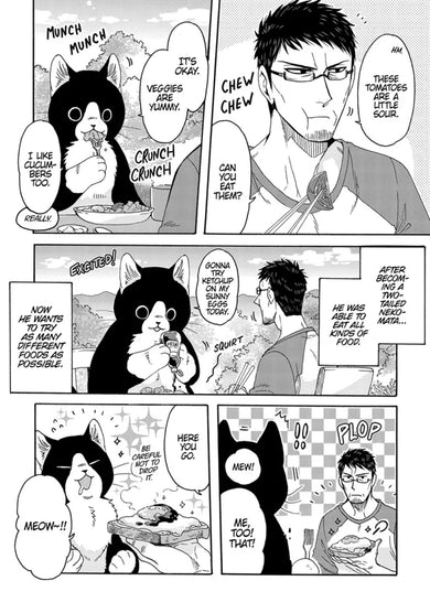 Breakfast with My Two-Tailed Cat Vol. 1 US - Paperback / softback