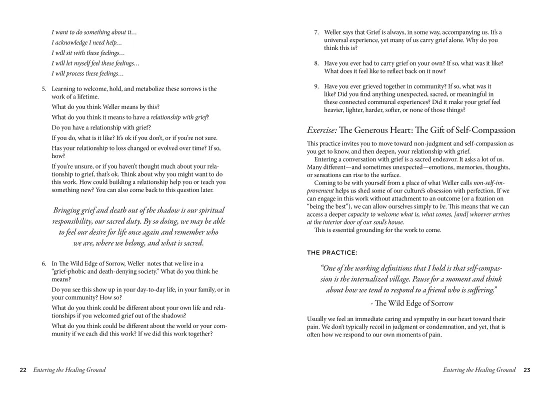 Entering the Healing Ground US - Paperback / softback