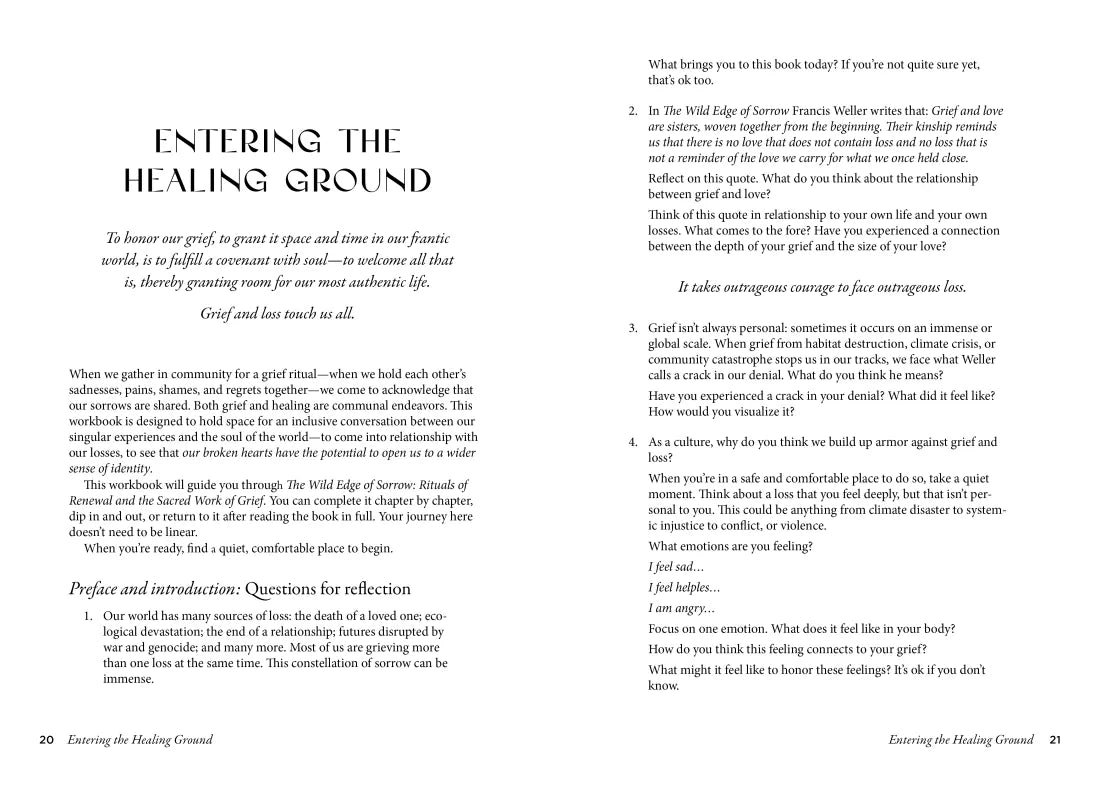 Entering the Healing Ground US - Paperback / softback