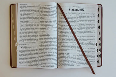 KJV Holy Bible, Giant Print Thinline Large format, Brown Premium Imitation Leather with Ribbon Marker, Red Letter, and Thumb Index US - Paperback / softback