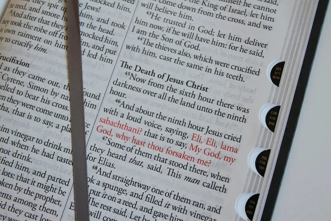 KJV Holy Bible, Giant Print Thinline Large format, Gray Premium Imitation Leather with Ribbon Marker, Red Letter, and Thumb Index US - Paperback / softback