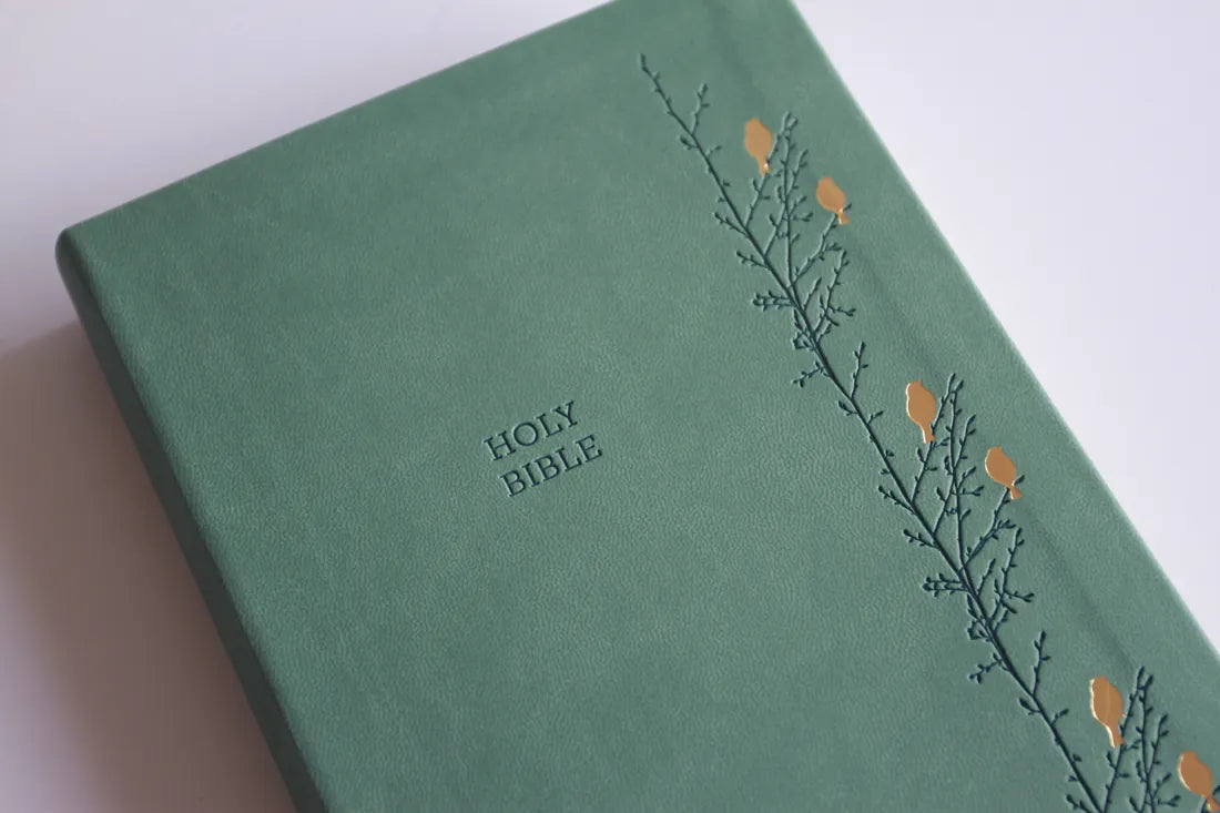 KJV Holy Bible, Large Print Medium Format, Green with Birds Faux Leather w/ Ribbon Marker, Red Letter US - Paperback / softback