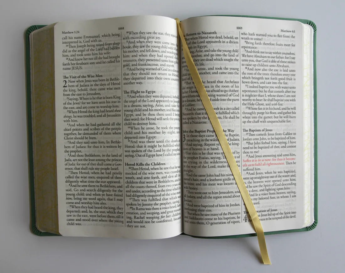 KJV Holy Bible, Large Print Medium Format, Green with Birds Faux Leather w/ Ribbon Marker, Red Letter US - Paperback / softback