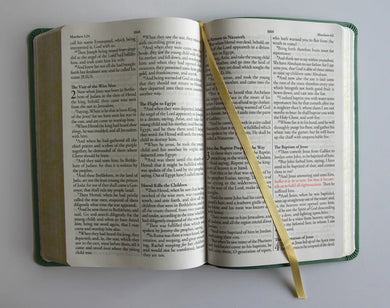 KJV Holy Bible, Large Print Medium Format, Green with Birds Faux Leather w/ Ribbon Marker, Red Letter US - Paperback / softback