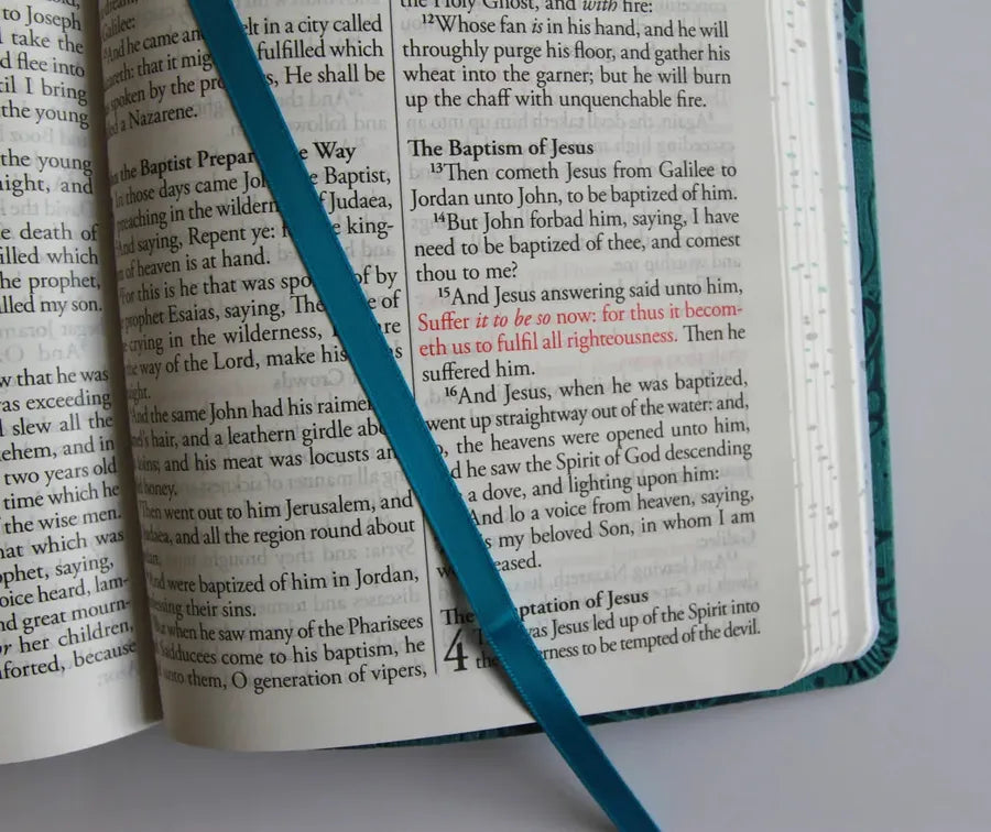 KJV Holy Bible, Large Print Medium Format, Blue with Birds Faux Leather w/ Ribbon Marker, Red Letter US - Paperback / softback