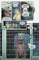 Animal Pound US - Paperback / softback