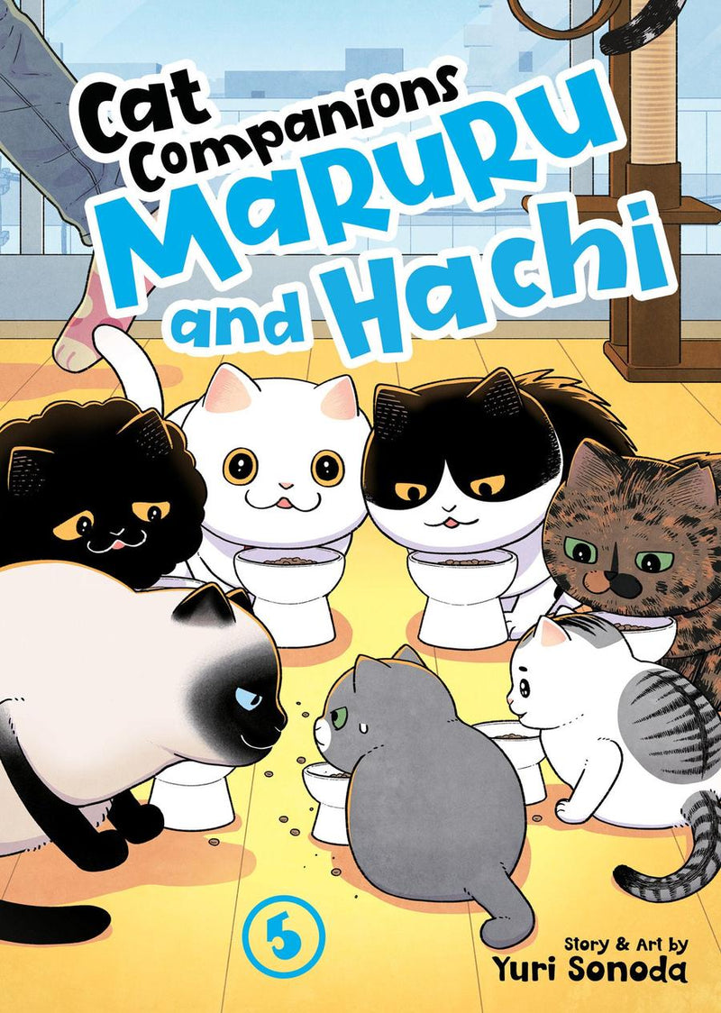 Cat Companions Maruru and Hachi Vol. 5-Manga and East Asian style / tradition comic books-買書書 BuyBookBook