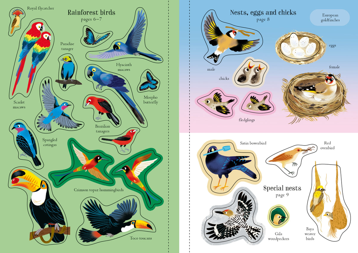 Little First Stickers Birds interior 1 (ISBN 9781805312352) [onix-asset:babd914ff0e82a2cc5114a6b487d1b4e7ecf02dfcde40243aa7863298e6f5e2e]