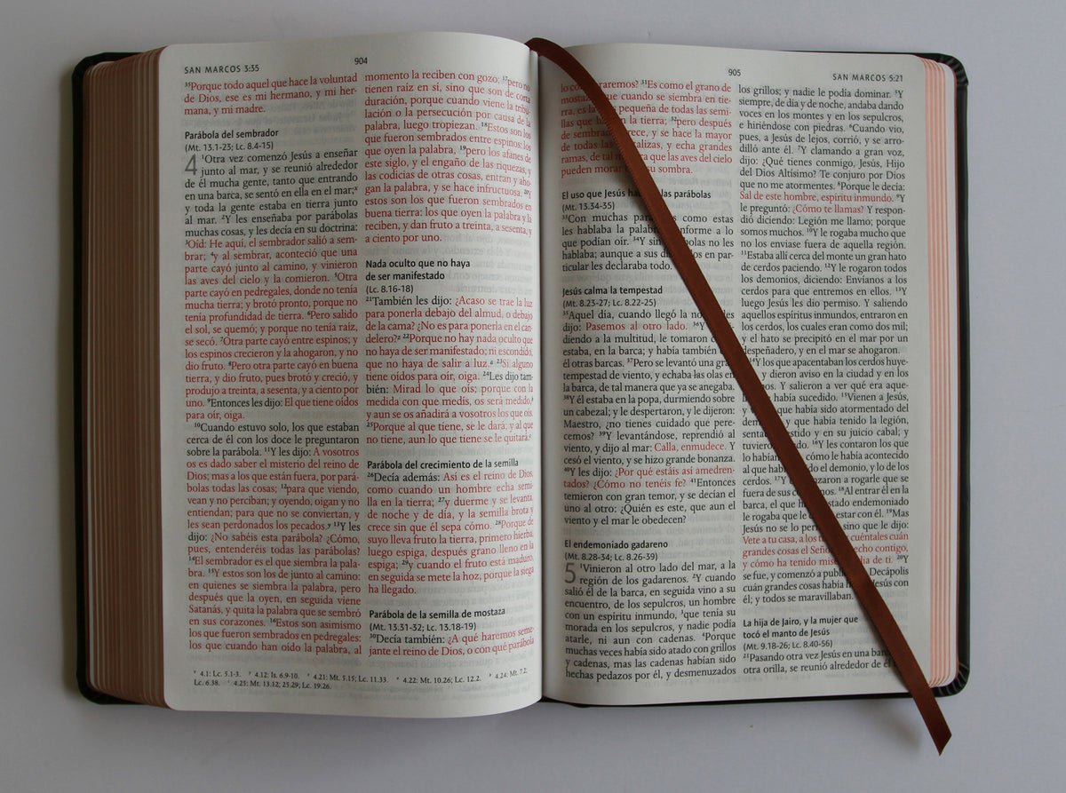 Biblia RVR 1960 Letra grande León de Judá edición especial bronce / Spanish Bible RVR 1960 Large Print Imitation Leather Lion of Judah Special Edition interior 12 (ISBN 9798890980076) [onix:4f5077e03ec2978061ebf3db43e0af0a]