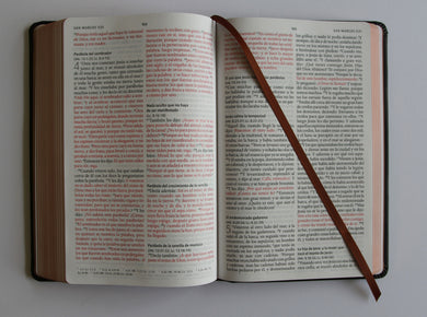 Biblia RVR 1960 Letra grande León de Judá edición especial bronce / Spanish Bible RVR 1960 Large Print Imitation Leather Lion of Judah Special Edition interior 12 (ISBN 9798890980076) [onix:4f5077e03ec2978061ebf3db43e0af0a]
